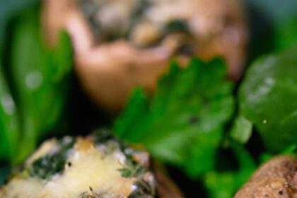 Savory Spinach & Ricotta Stuffed Mushrooms: A Delightful Bite