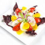 Tomato Tales: Unveiling the Secrets of a Garden Gem